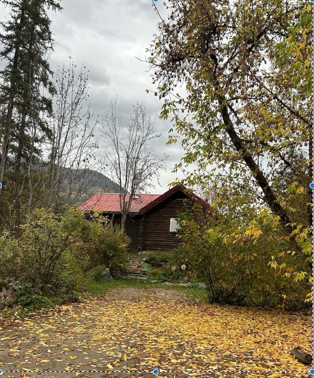 Morning Star Log Cabin Nelson Pokoj fotografie